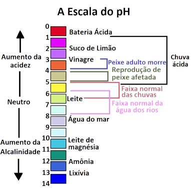 Imagem do Projeto